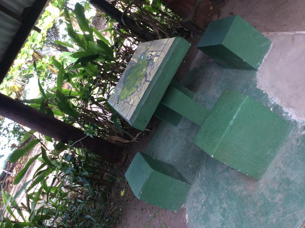 Cabinas Balcon Del Mar Tortuguero Ngoại thất bức ảnh