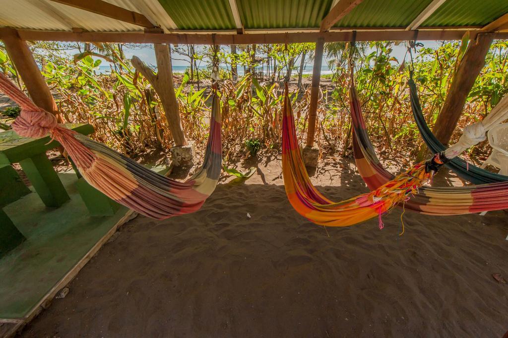 Cabinas Balcon Del Mar Tortuguero Ngoại thất bức ảnh